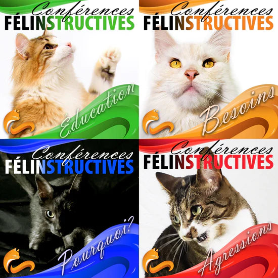 Pack de 4 conférences Félinstructives - 2nd semestre 2025