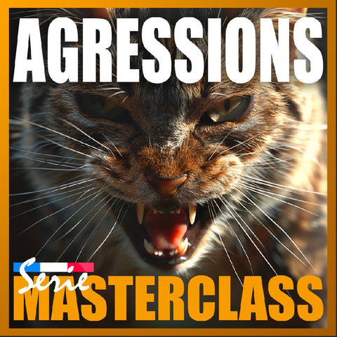 15 et 16 mai 2025 / Masterclass Agressions (auto-financement)