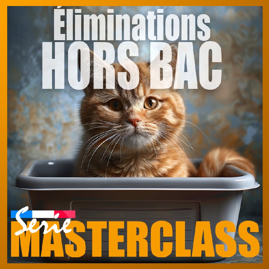 6 février 2025 / Masterclass Éliminations hors bac (auto-financement)