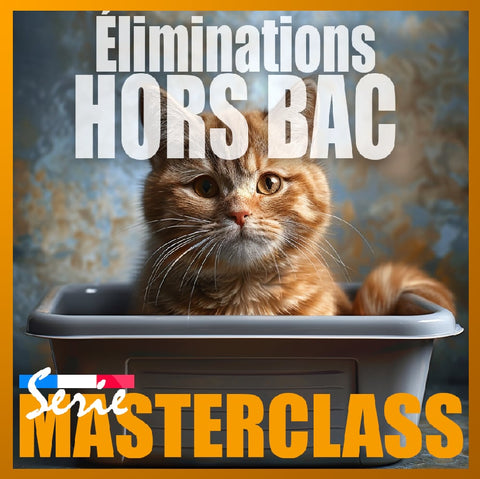 25 septembre 2025 / Masterclass Éliminations hors bac (auto-financement)