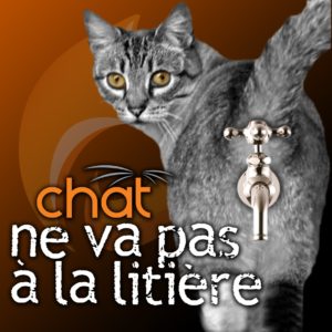 8 avril 2025 / Soirée conférence « Chat ne va pas à la litière » en ligne