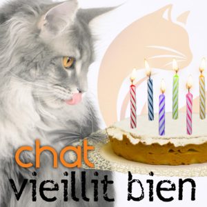 18 mars 2025 / Soirée conférence « Chat vieillit bien » en ligne