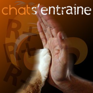 11 février 2025 / Soirée conférence « Chat s'entraîne » en ligne