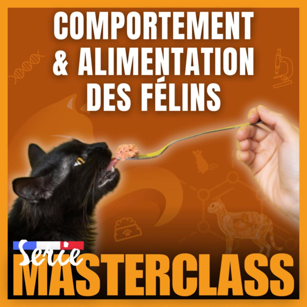 25 avril 2026 / Masterclass Comportement et Alimentation des Félins (auto-financement)
