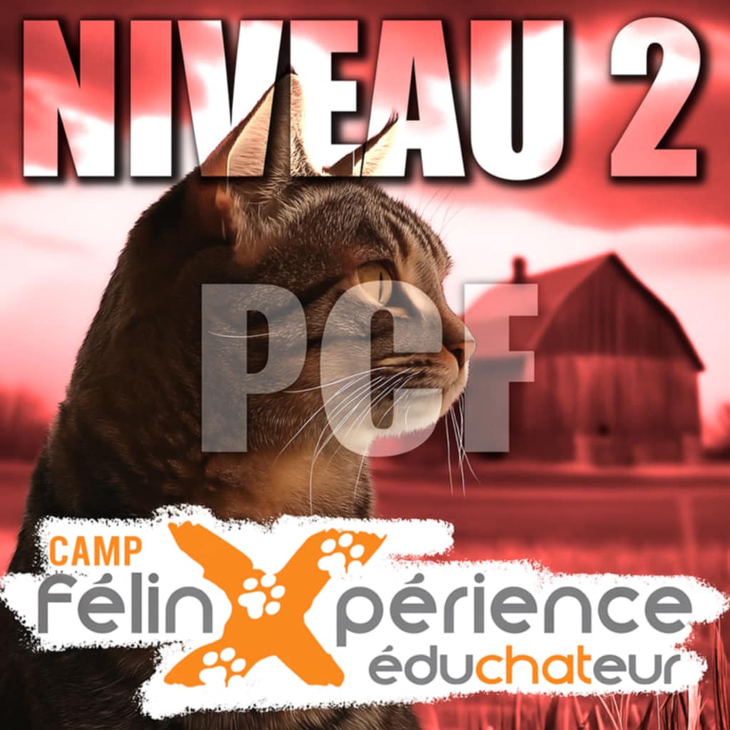 CAMP Félin Niveau 2 - les 23 & 24 Mai 2026 (avec Prise en charge financière)