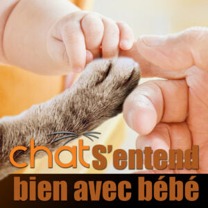 3 juin 2025 / Soirée conférence "Chat s'entend bien avec bébé"