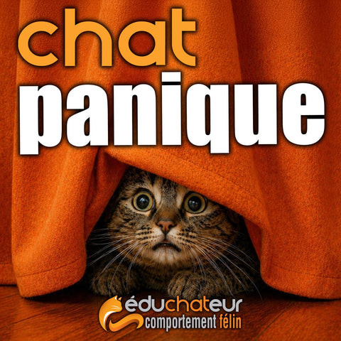 20 octobre 2026 / Soirée conférence "Chat panique !"