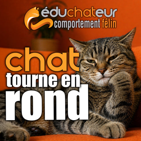 6 octobre 2026 / Soirée conférence "Chat tourne en rond ?"